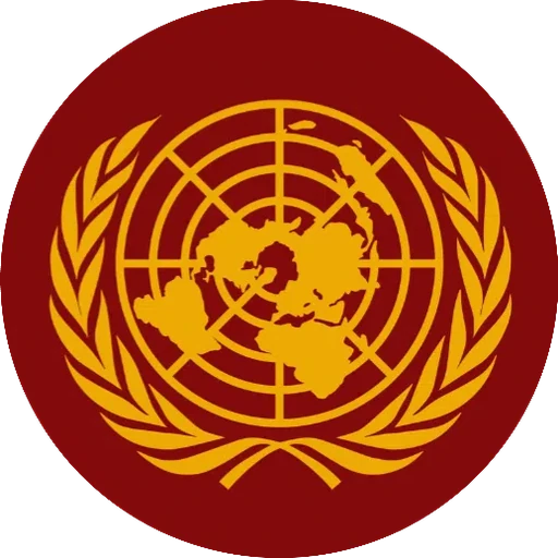 Economic and Social Council (ECOSOC)