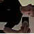 David TociProfile Picture