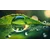 Suhailah HafsaProfile Picture