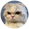 Jhthtgtgt KhhbhbhyProfile Picture