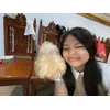 Zaira AgdeppaProfile Picture