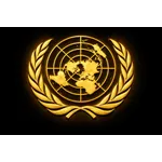United Nations Security Council (UNSC)