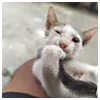 Yadhunandhan NoneProfile Picture
