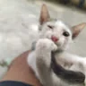 Yadhunandhan