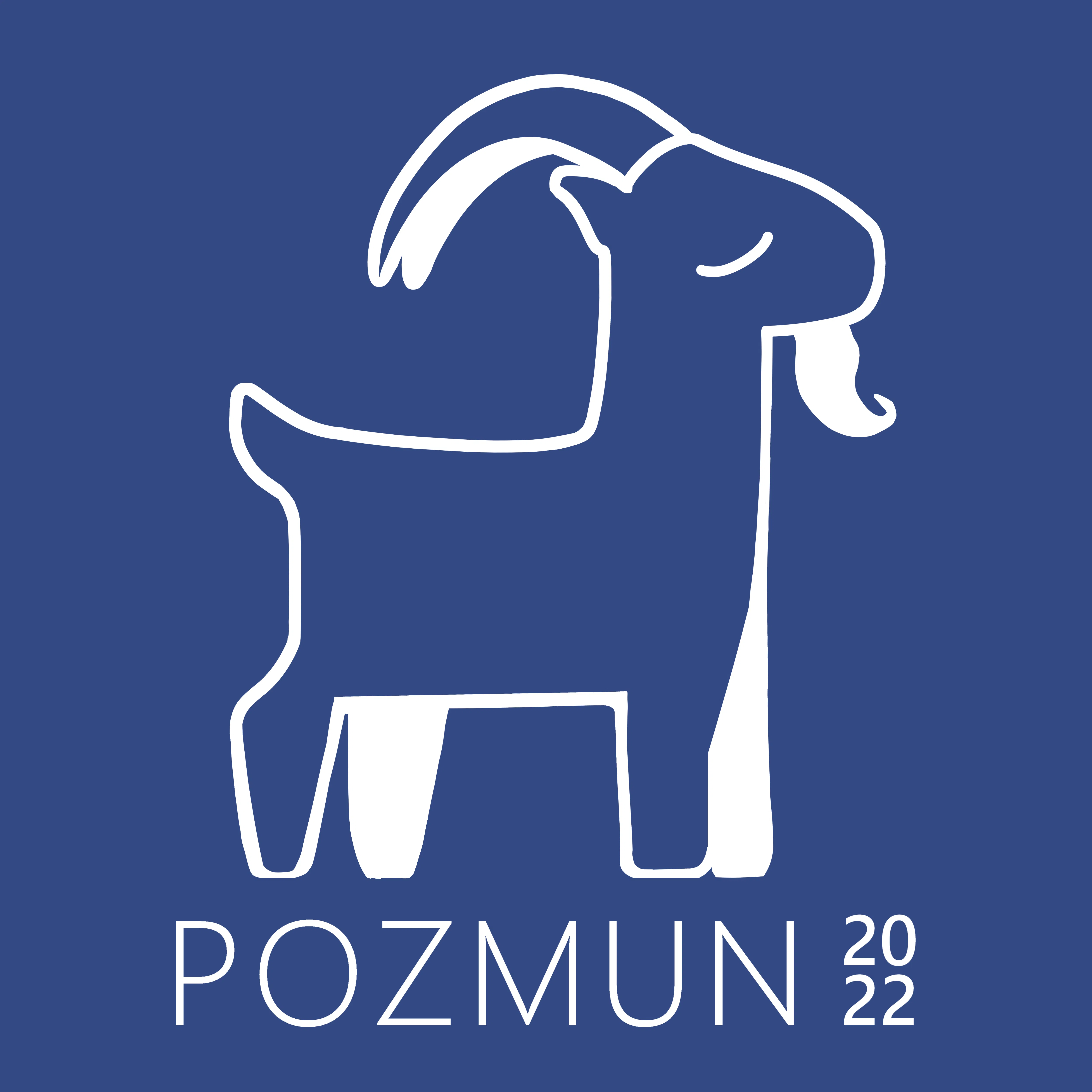 POZMUN 2022