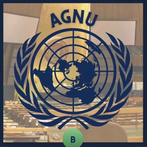 Asamblea General de las Naciones Unidas