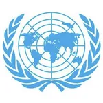 United Nations Security Council (UNSC)