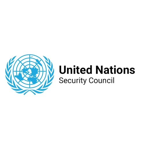 UN Security Council