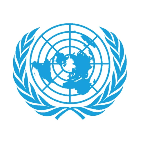 ECOSOC (Beginner)