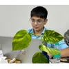 Priyansh AroraProfile Picture