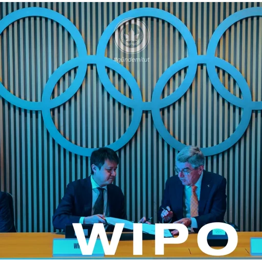 World Intellectual Property Organization