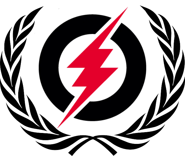 Electro-MUN 2020