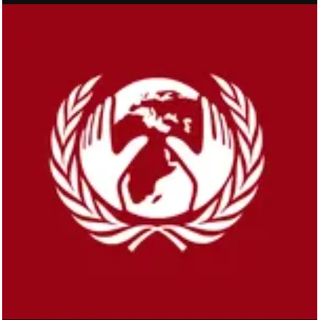 Economic and Social Council