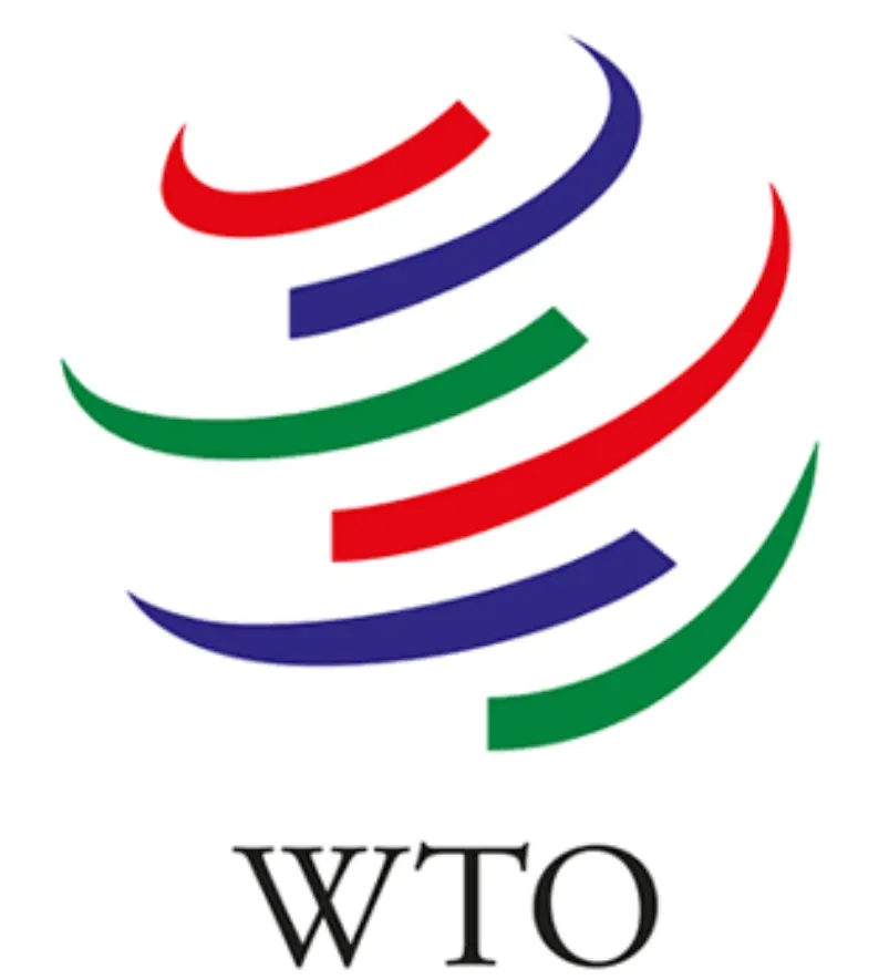The WTO 2024