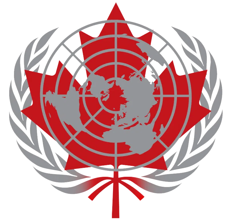CAIMUN 2020
