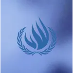Human Rights Council (HS)