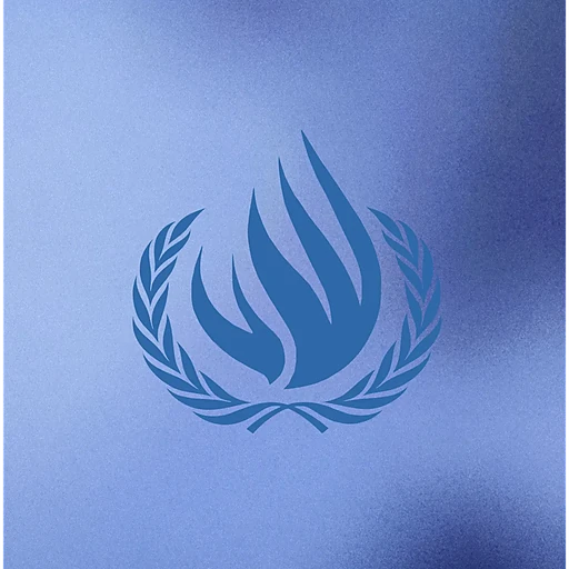 Human Rights Council (HS)