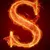 Shivesh LeekhaProfile Picture