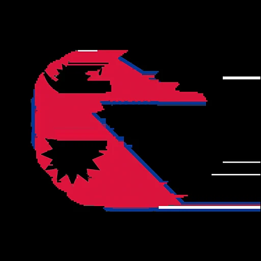 NYIMUN 2020 logo