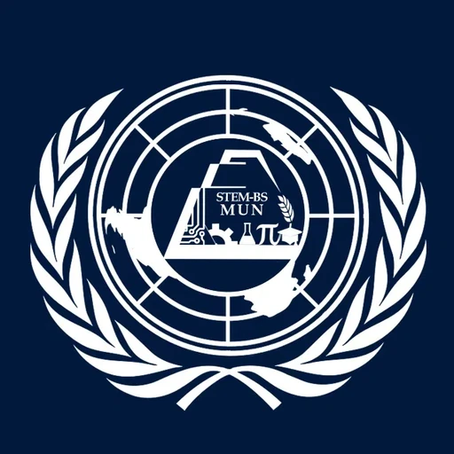BS'STEM' MUN 2021 logo