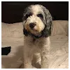 Ben KralovecProfile Picture