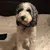 Ben KralovecProfile Picture