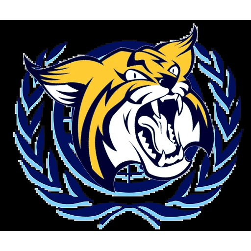 BocaHighMUN 2021 logo