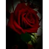 Sourish SinghProfile Picture