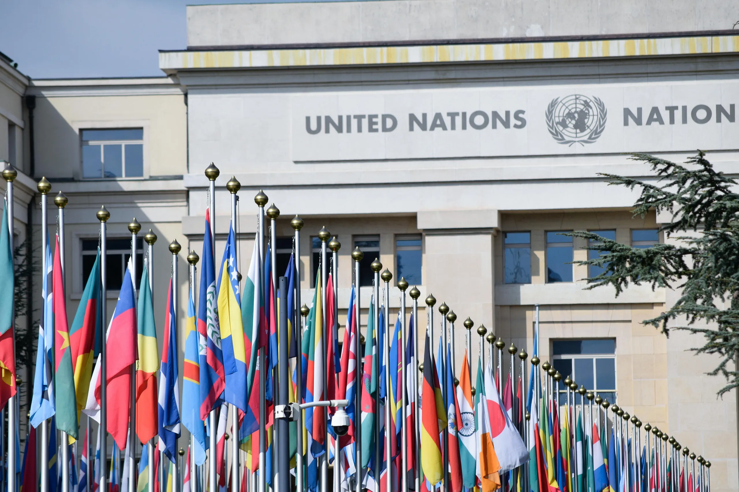 GDMUNC Edition I 2024