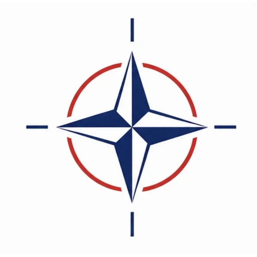 North Atlantic Treaty Organization (NATO)