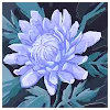Sankalp NigamProfile Picture
