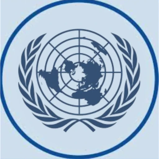 Economic and Social Council (ECOSOC)