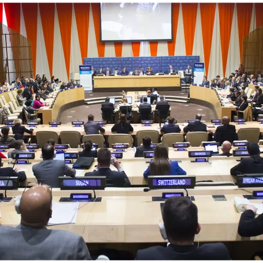 ECOSOC (üliõpilased)