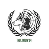 Hult Model United Nations