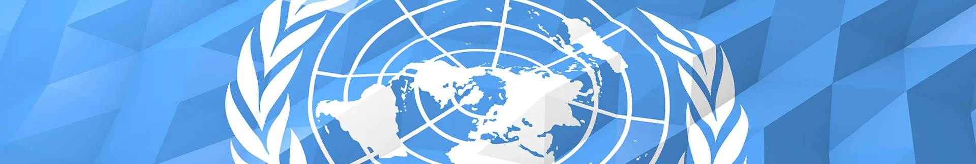 Diplomacy Model UN 2025
