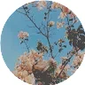 Maria AbrahamProfile Picture