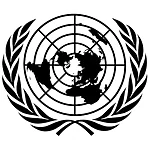 Future Security Council (FSC)