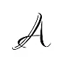 Ahmed ZakiProfile Picture