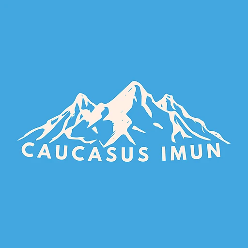 CCS IMUN 2024 logo