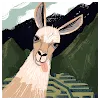 Avani SharmaProfile Picture