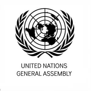 Asamblea General de las Naciones Unidas