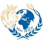 Meridian International School Model United Nations