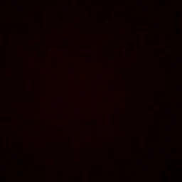 Tarek HarhashProfile Picture