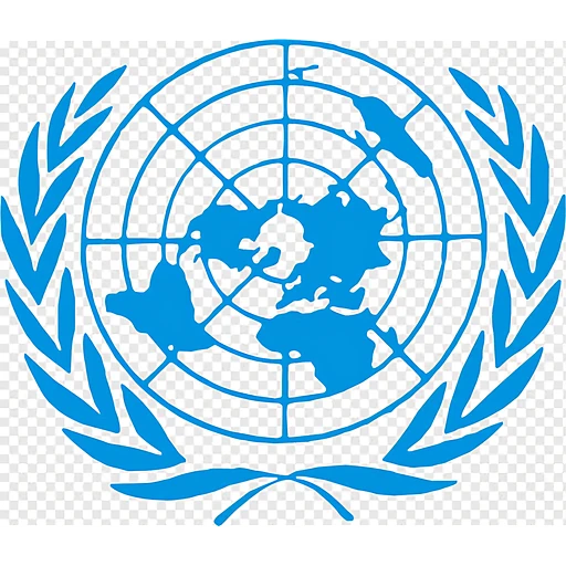 United Nations Security Council (UNSC)