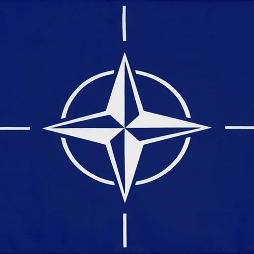 North Atlantic Treaty Organization (NATO)