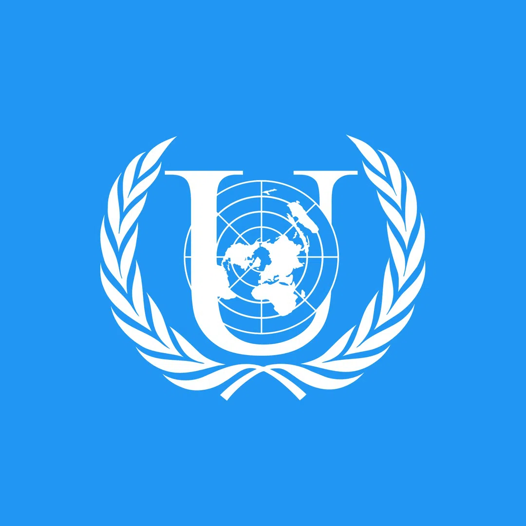 RUDN MUN 2020