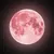 Netra SreeProfile Picture