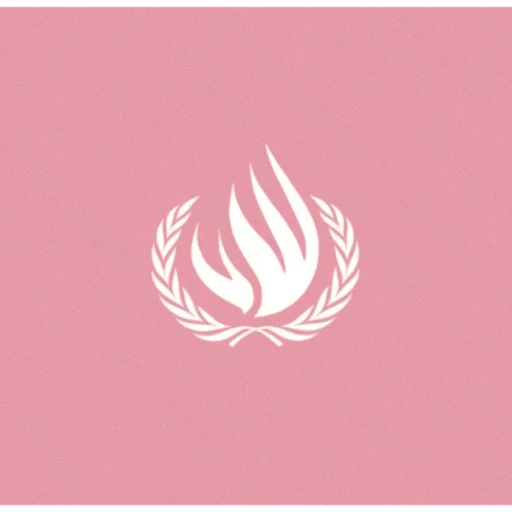 Human Rights Council
