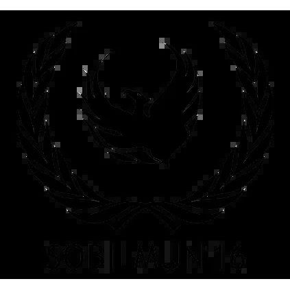 SOBILMUN 2016 logo