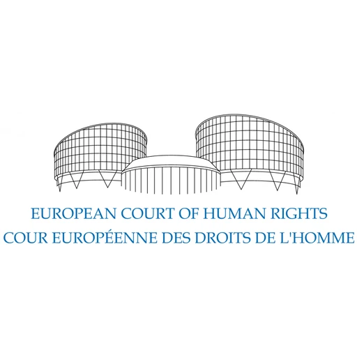 Cour Européenne des Droits de l'Homme [French Committee]
